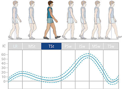 Graphic table shows the gait phase terminal stance during which patients with a physiological gait can achieve full extension of the knee. Absorption of the stop impacts and thus the noises are minimized by extension stops. The dynamic extension stop and the adjustable resistance (yielding) of the spring unit enable controlled range of motion both when standing and walking, provided the knee angle is set correctly.